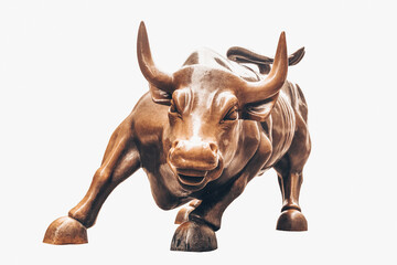 Charging Bull isolated on white background. Bull represents aggressive financial optimism and prosperity, - obrazy, fototapety, plakaty