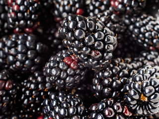 Delicious and healthy ripe blackberry (Rubus allegheniensis)