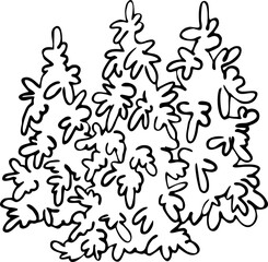 Christmas tree decorative vector element, empty natural without decoration. Hand drawn illustration Xmas template for postcard design, party invitation. New Year eve symbol, cartoon style line drawing