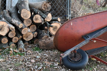 Wheelbarrow by a Woodpile