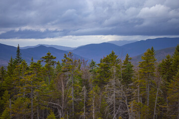 Forest On Mountain Range Landscape Under Dramatic Cloudy Sky Merging With the Dusky Mountains In The Distance Near Evening Sunset During Fall Season, 