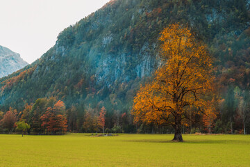 Logar valley or Logarska dolina in the Alps of Slovenia in autumn © Viktoriya