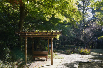 Naklejka premium 藤棚のある風景