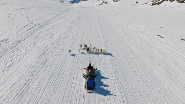 Sled Dogs Pulling Sleigh Over Snowy Landscape