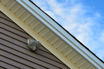 A large wasp hornet nest is affixed to an exterior dryer vent cover on the eave of a wooden...