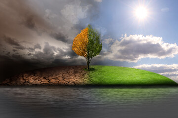 Half dead and alive tree outdoors. Conceptual photo depicting Earth destroyed by environmental...