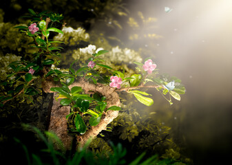 Fantasy Bonsai carmona Tree growing in magical elf Forest, butterly flying in blooming fairy tale...