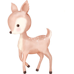 Cute Little Deer watercolor illustration