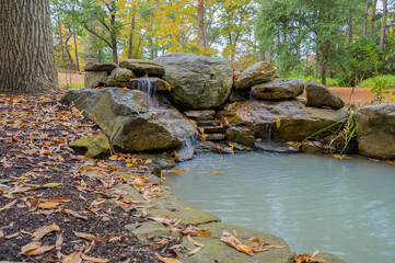 autumn leaves on the river