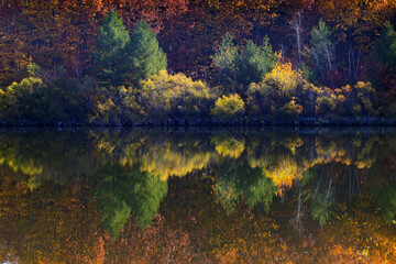 Autumn coolers in Oka national park, Canada
