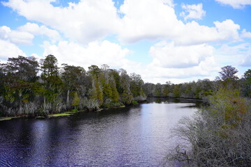 Obraz premium Landscape of Hillsborough river at Lettuce lake park in autumn