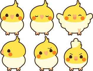 オカメインコ　セット　フチあり　ルチノー