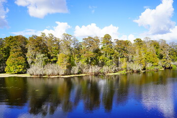 Landscape of Hillsborough river at Lettuce lake park	in autumn