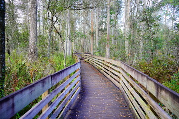 Fototapeta premium Beautiful wooden boardwalk over swamp in autumn