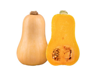 Butternut squash isolated on transparent png