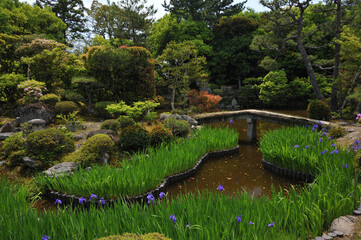 the early summer garden in Hokke-ji temple