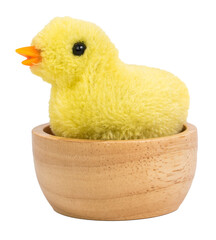 Little chicks in the wooden cup isolated