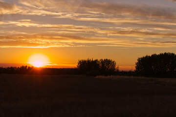 Summer Sunset over a Wheat Field