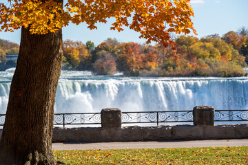 Niagara Falls City Fallsview Trail. Red maple leaf during autumn foliage. American Falls in the background. Ontario, Canada.