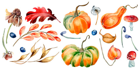 Set of colorful autumn leaves and pumpkins watercolor illustration isolated on white.