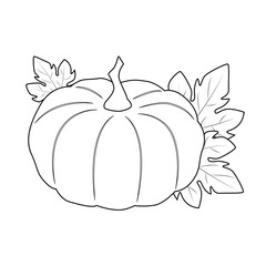 Outline drawing of pumpkin with leaves. Vector illustration. Doodle style, coloring page.