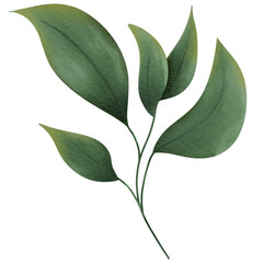 Watercolor Green Leaf & Flower For Wedding Decoration