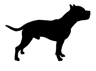 Pitbull American Bully Silhouette 