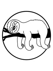 Ast schlafen Faultier Comic 