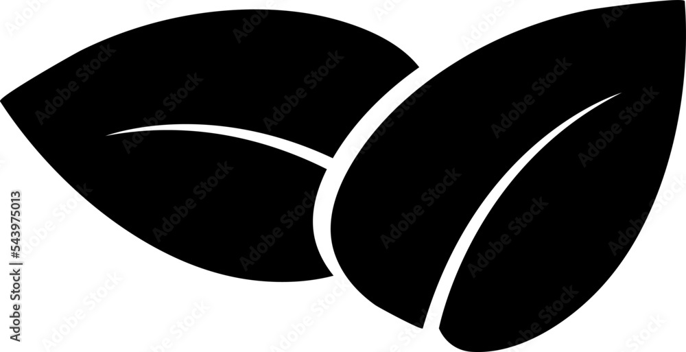 Poster leaf icon vector. ecology icon line style on white background..eps