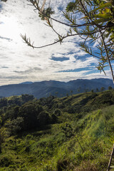 vertical shot of rural landscape with trees and vegetation on a sunny morning