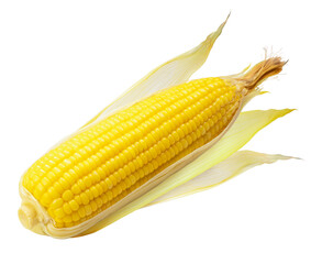 Sweet corn on white background PNG file.