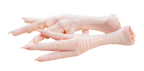 Fresh Chicken feet on white background, Raw Chicken feet on white background PMNG File.