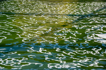 white foam on green dirty water, nature pollution