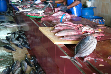 Male market that selling fresh hauling tuna fish, and the market provide the fish cutting service, Maldives.