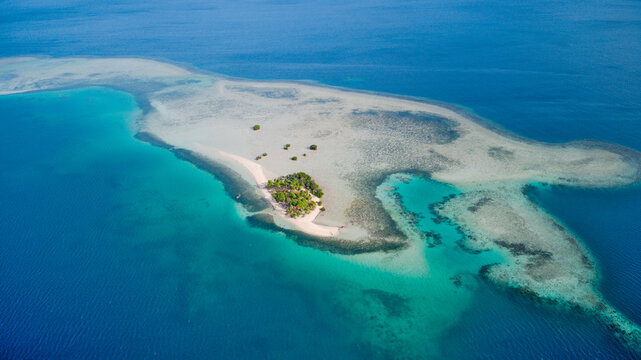 Coral Island