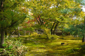 紅葉の始まった宝厳院の庭