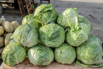 White cabbage sold in the market