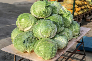 White cabbage sold in the market