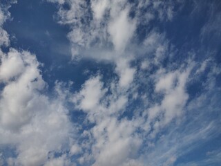 Obraz premium 東京のそら(22.11.7)