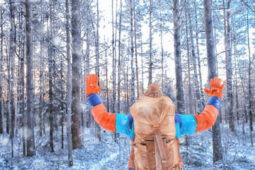 man traveler with a backpack in the forest, winter view in the american forest, north america...