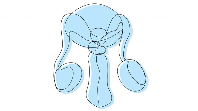 Self-drawing of male genital organs with one line on a white background. The concept of health and fertility. Stock 4k animation of whiteboard male anatomy.