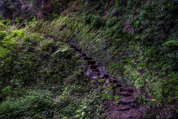 Vereda do Larano hiking trail, Madeira	