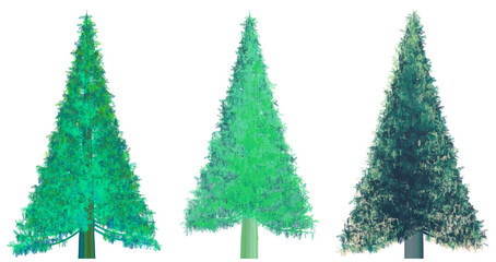 Set of blue Christmas tall fir trees. 3d. Isolated. png format.