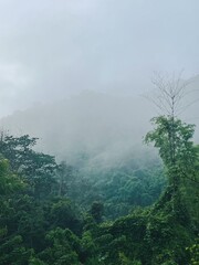 fog in the mountains. Khao Yai, Thailand 