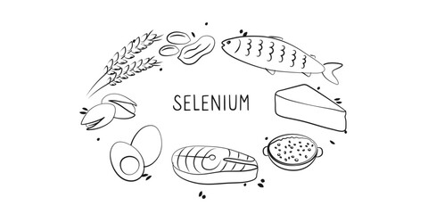 Selenium-containing food. Groups of healthy products containing vitamins and minerals. Set of fruits, vegetables, meats, fish and dairy