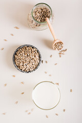 Dairy-free sunflower milk in a glass and seeds in a bowl on the table. Top and vertical view