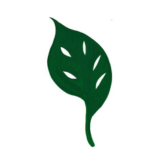 Fresh Green Leaf clear background PNG file 