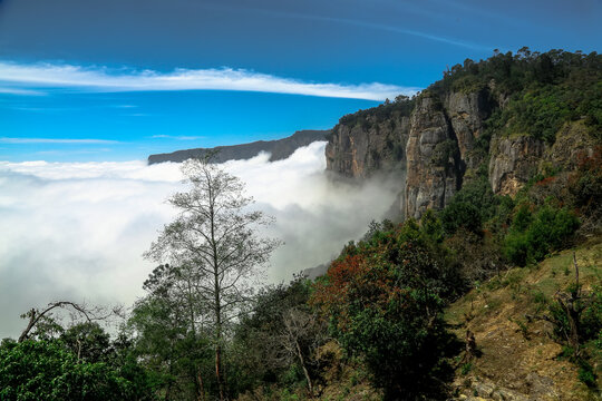 Guna cave 