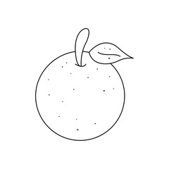 Orange fruit vector with leaf isolated on white background.	