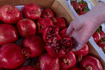 A woman chooses a pomegranate from a cardboard box in the market. The girl holds in her hand a ripe pomegranate cut into pieces. Selective focus.